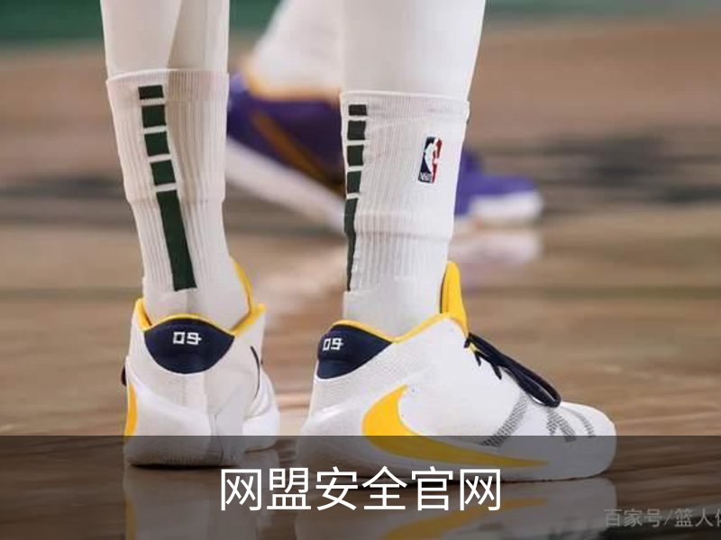 关于网盟安全官网